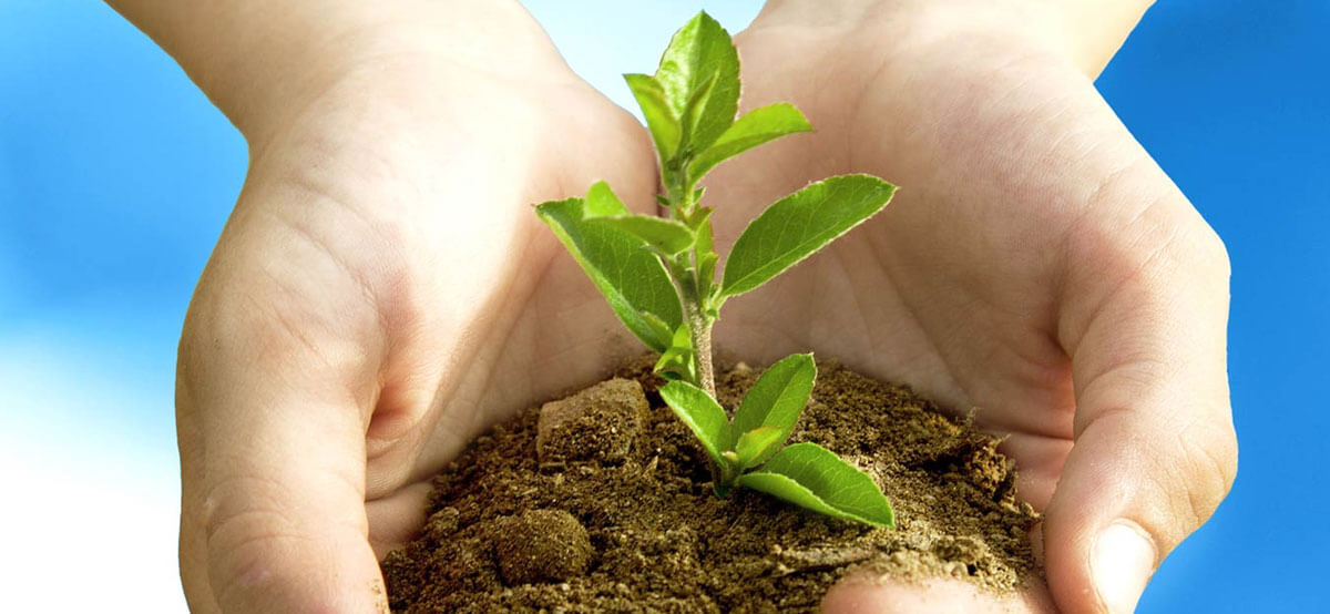 Protect the Environment